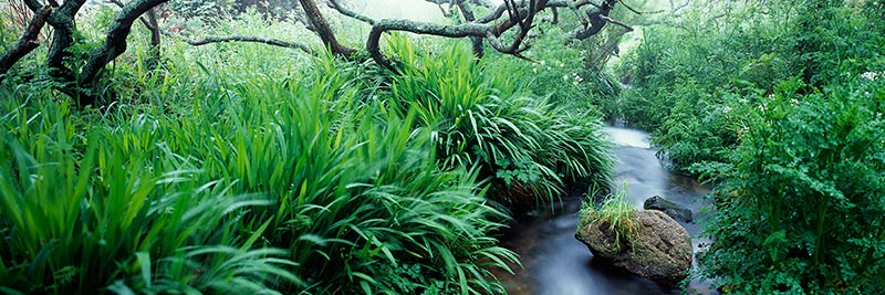 Photograph of Cot Valley, Cornwall
