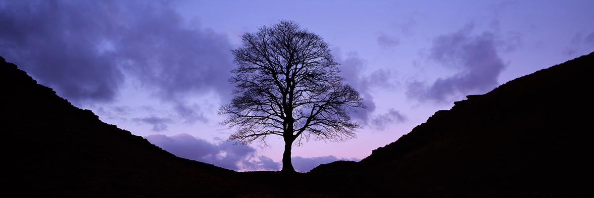 Photograph of Hadrians Wall, Northumberland
