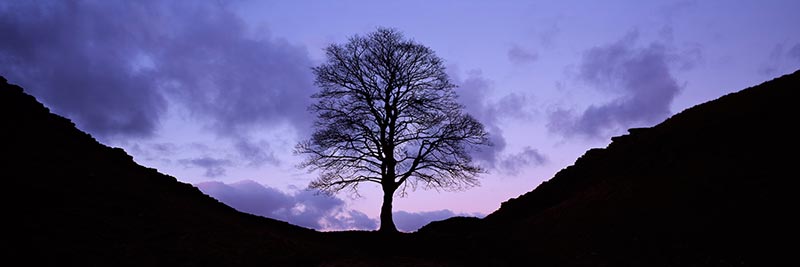Photograph of Hadrians Wall, Northumberland