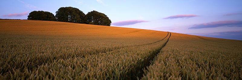 Photograph of West Kennet, Avebury, Wiltshire
