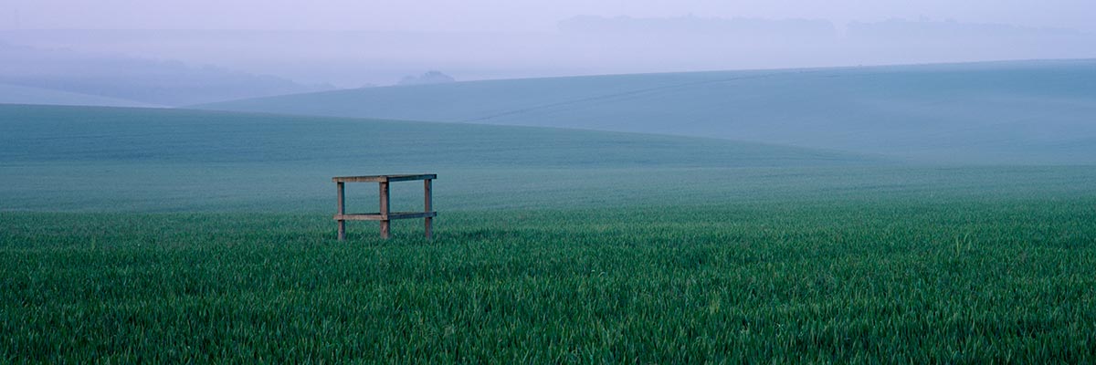 Photograph of Stonehenge Downs, Wiltshire