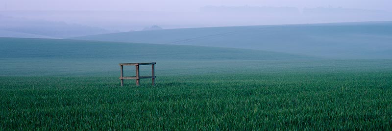 Photograph of Stonehenge Downs, Wiltshire