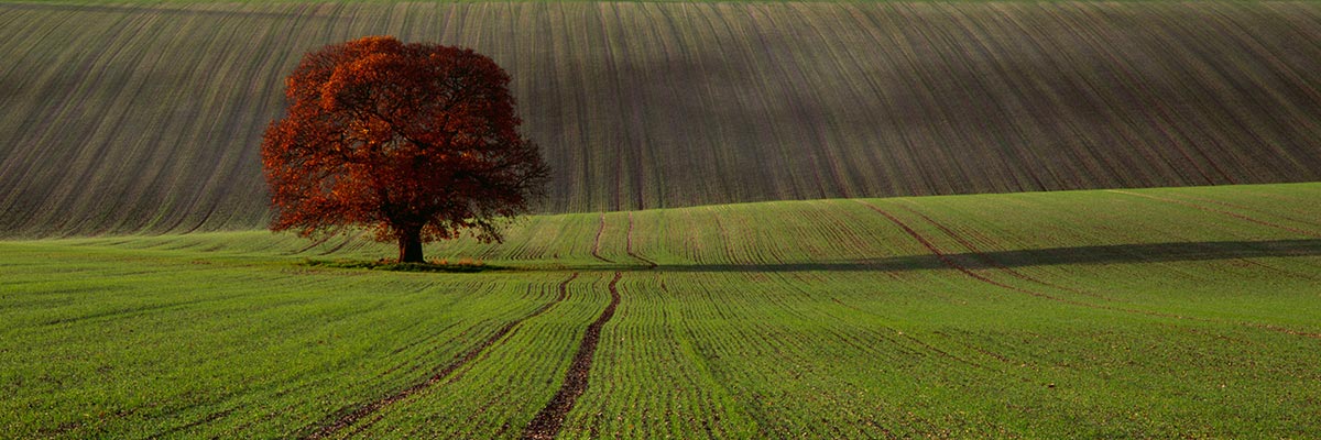 Photograph of Two Mile Down, Wiltshire